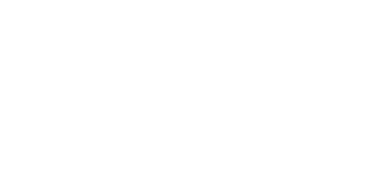 Tony Roma's ONION LOAF